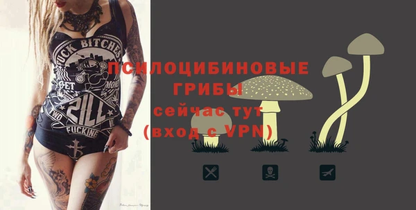 твердый Алексеевка