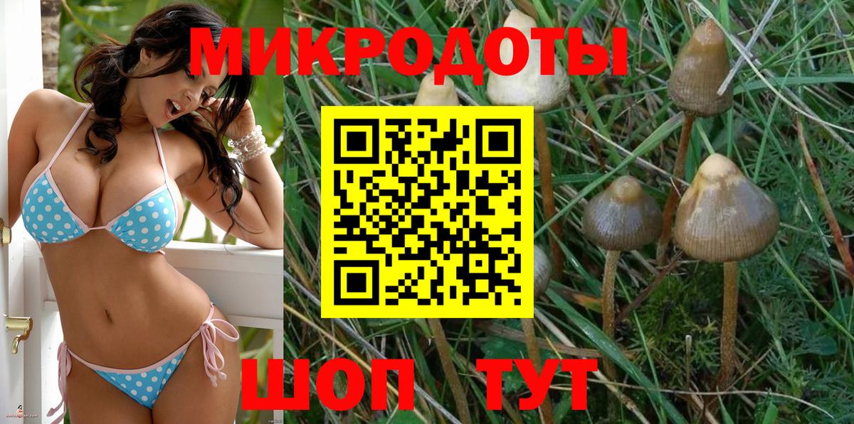 Саров  Галлюциногенные грибы Magic Shrooms  Вход с VPN 