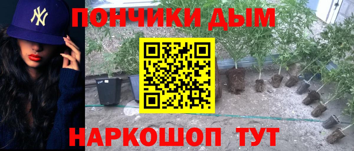 Бошки Шишки LSD WEED Саров